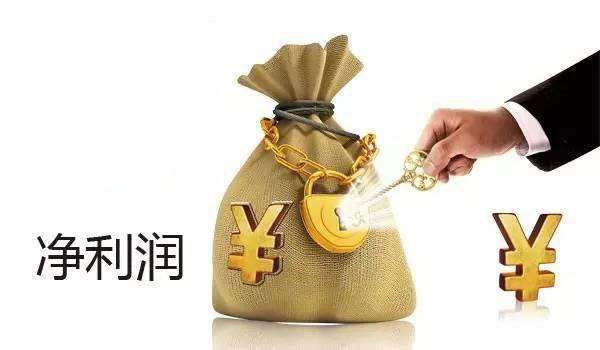 投入产出利滚利,三四左右能奈何是什么生肖,警惕虚假宣传落实,时代解答解释落实